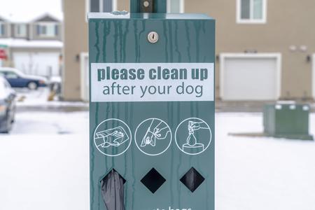 Pet Waste Stations: The Perfect Addition To Any Park Or Community Lot Thumbnail