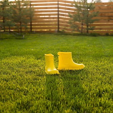 Dog Poop Removal in Orland Park, IL 1